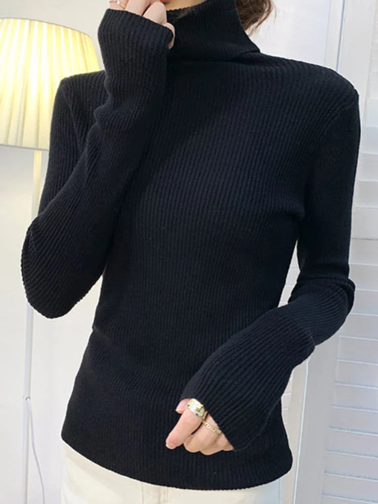 Suéter Feminino com Gola Alta Belmira